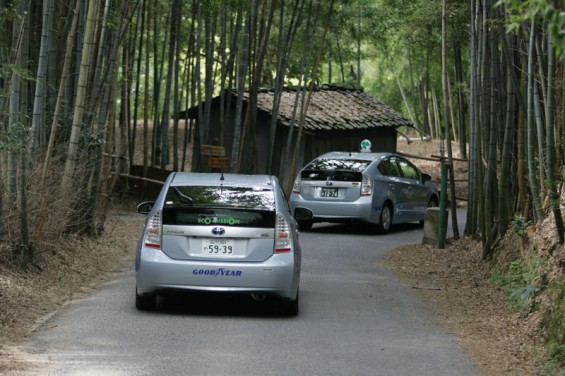八幡竹の竹林を走る2台のプリウスPHV