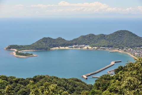 千坊山から象鼻ヶ岬を望む