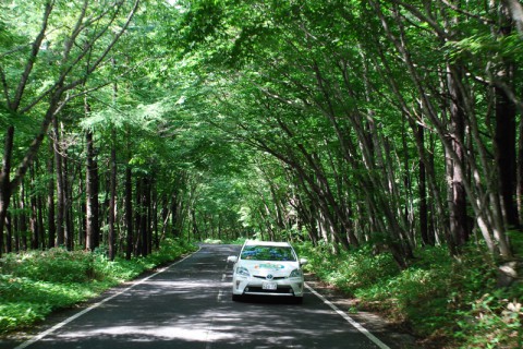 美しい緑のトンネルを抜け奥那須へ