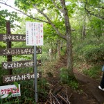 奥那須自然休養林へ入る