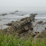 白亜紀の地層が露出する平磯海岸