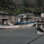 宇田浦漁港に停泊する「第一尾無丸」