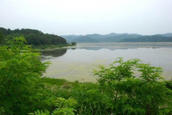 湿地面積231ha、生態系保護区は854haと広大なエリアが保全地域に指定されている。