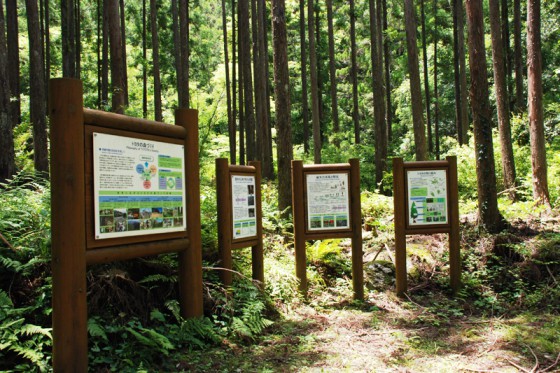 「トヨタ三重宮川山林」について解説した案内板