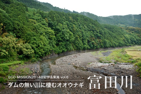 富田川流域には人の暮らしと密接に繋がる共生林が続く