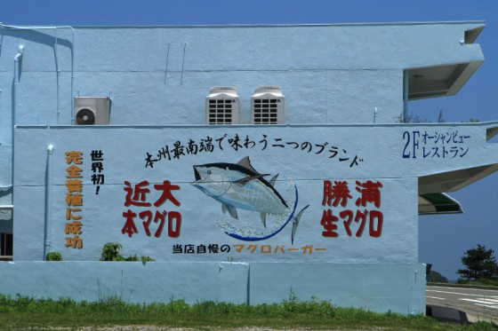 近大マグロ大島実験場がある串本には取扱う料理店が沢山あった