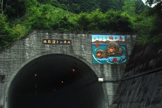 梅ヶ島へ抜ける数珠窪トンネルでは猿のレリーフがお出迎え。