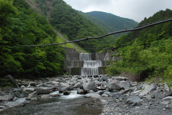安定した水を山葵田に供給するため、対岸からもパイプが延びている。