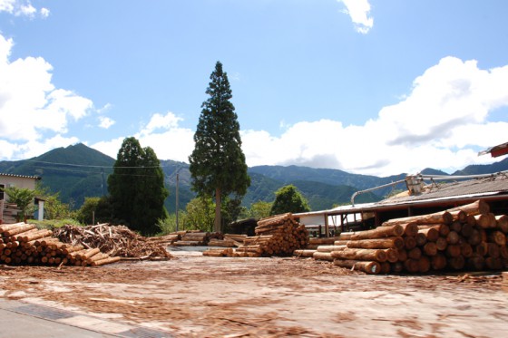 林業の盛んな水上村には多くの製材所が操業している。