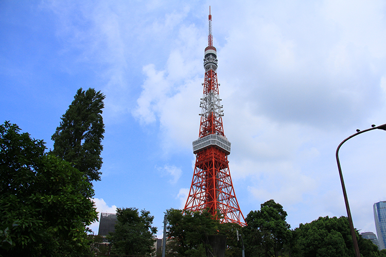 見慣れた東京タワーが一層愛おしく見える